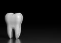 Dental model of premolar tooth on black background