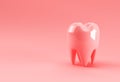 Dental model of premolar tooth 3D Rendering