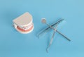 Dental models and dental instruments
