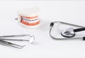 Dental models and dental instruments