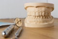 Dental mold with dental tools Royalty Free Stock Photo