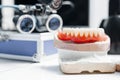 Dental mold with tools. close up view Royalty Free Stock Photo