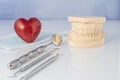 Dental mold with tools of a face mask and red heart. Royalty Free Stock Photo