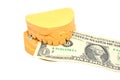 Dental mould and dollar Royalty Free Stock Photo