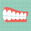 Dental. Oral hygiene background Flat design