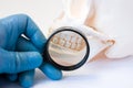 Dental, periodontal and gum disease diagnosis and treatments concept photo. Dentist or dental hygienist with magnifying glass exam