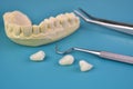 Dental plaster models in a dental clinic. Close-up.