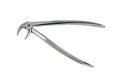 Dental pliers tool Royalty Free Stock Photo