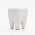 Dental premolar teeth 3d on white