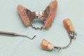 Dental prostheses close up