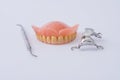 Dental prosthesis and instrumental