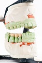 Closeup dental articulator