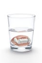 Dental prothesis of a vampire Royalty Free Stock Photo