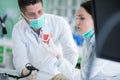 Dental students while working on the denture, false teeth. Royalty Free Stock Photo