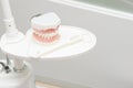 Dental study model in dental clinic table Royalty Free Stock Photo