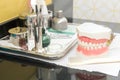 Dental study model on table Royalty Free Stock Photo