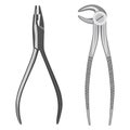 Dental surgery instruments extracting forceps vector icon set