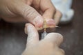 Dental technician make denture prothesis in dental laboratory Royalty Free Stock Photo