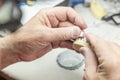 Dental Technician Working On 3D Printed Mold For Tooth Implants Royalty Free Stock Photo