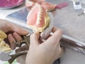 Dental technician is working with porcelain teeth in a cast mold Royalty Free Stock Photo