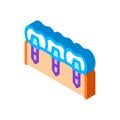 Dental Teeth Implants Biomaterial isometric icon