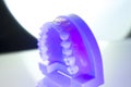 Dental teeth dental model