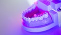 Dental teeth dental model