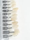 Dental teeth samples, dental color shade Royalty Free Stock Photo