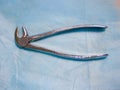 Dental tool for removing teeth. close top view. removal of a tooth. Dental Pliers, Tooth Extraction Royalty Free Stock Photo