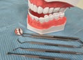 Dental tools arranged next to a model of teeth on a light blue surface Royalty Free Stock Photo
