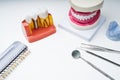 Dental Tools Clear Aligner And Implant Model Royalty Free Stock Photo