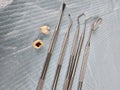 Dental tools and extracted teeth displayed on a blue examination surface Royalty Free Stock Photo