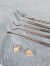 Dental tools and extracted teeth on a dental tray during a dental procedure Royalty Free Stock Photo
