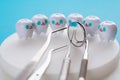 Dental tools and smile teeth model. Royalty Free Stock Photo