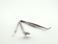 Dental tools on white background Royalty Free Stock Photo