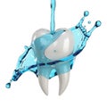 Dental tooth with blue liquid splash isolated on transparent background Royalty Free Stock Photo