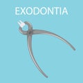 Dental tooth extraction. Exodontia. The tooth in the dental forceps. A white clean tooth is clamped between the forceps.