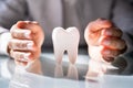 Dental Tooth Insurance