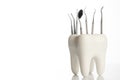 Dental tooth model with metal medical dentistry equipment Royalty Free Stock Photo