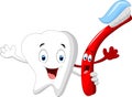 Dental Tooth and Toothbrush cartoon character