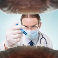 Dental treatment Royalty Free Stock Photo