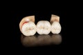 Dental veneers, ceramic and zirconium crowns of teeth close-up macro isolate on black background. Laboratory technical production