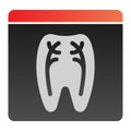 Dental xray flat icon. Tooth xray color icons in trendy flat style. Orthodontic roentgen gradient style design, designed