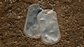 Dented and worn blank military dog tags Royalty Free Stock Photo