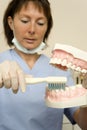 Dentist Royalty Free Stock Photo