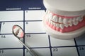 Dentist appointment, dentistry instruments and dental hygienist checkup concept with teeth model dentures and mouth mirror on a Royalty Free Stock Photo