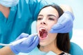 Dentist curing a female patient in the stomatology. Treatment concept. Royalty Free Stock Photo