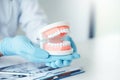 Dentist with denture learning how to teeth At dentistÃâs office Royalty Free Stock Photo