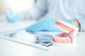 Dentist with denture learning how to teeth At dentistÃâs office