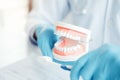 Dentist with denture learning how to teeth At dentistÃâs office Royalty Free Stock Photo